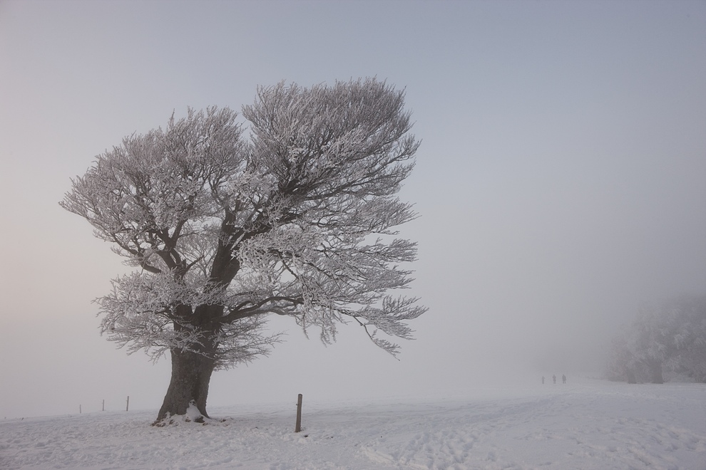 Winter auf dem Schauinsland 24