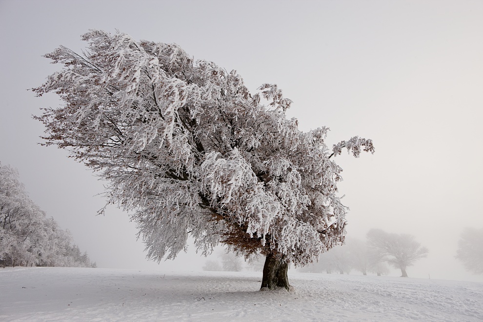 Winter auf dem Schauinsland 25