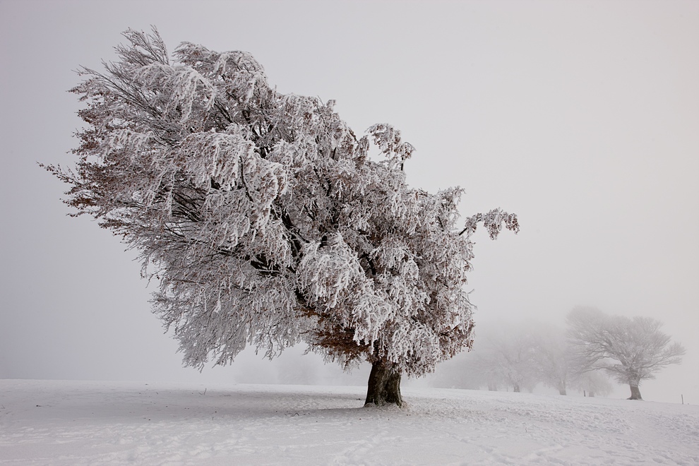 Winter auf dem Schauinsland 26