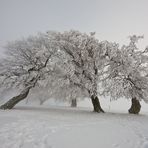 Winter auf dem Schauinsland 27