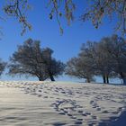 Winter auf dem Schauinsland