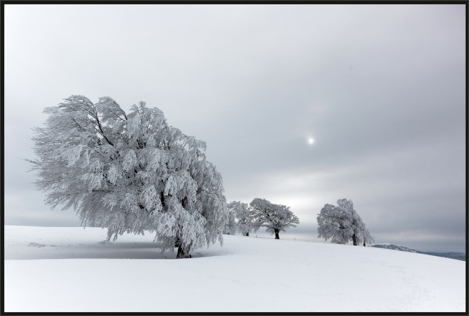 Winter auf dem Schauinsland