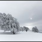 Winter auf dem Schauinsland