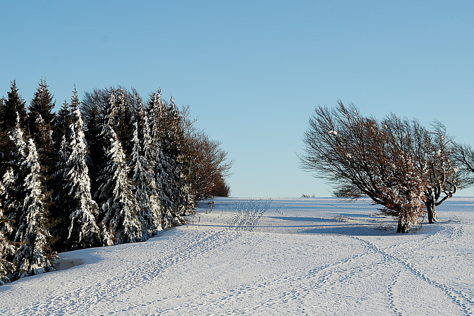 Winter auf dem Schauinsland.