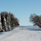 Winter auf dem Schauinsland.