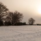 Winter auf dem Schauinsland