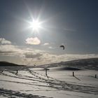 Winter auf dem Schauinsland