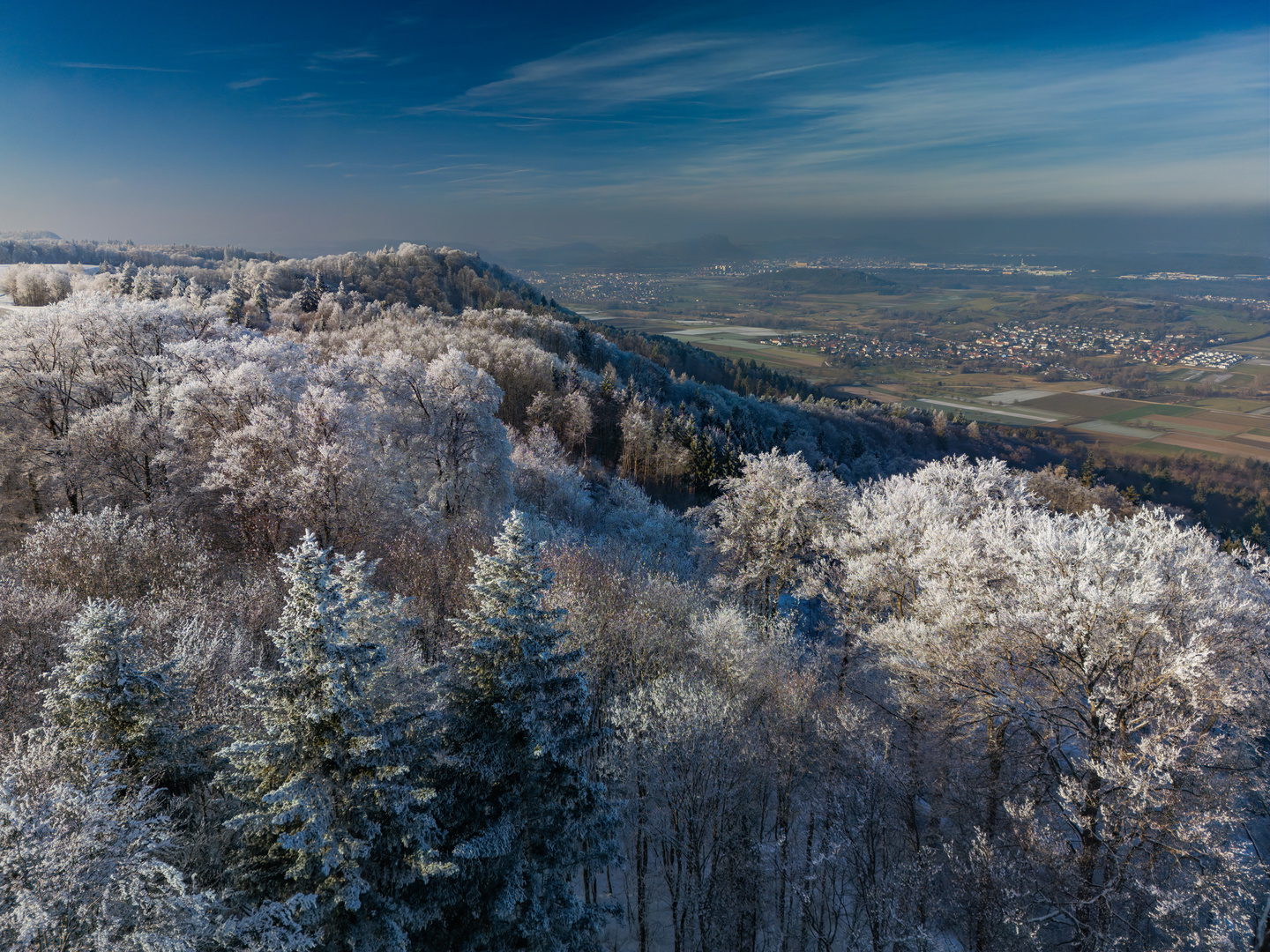 Winter auf dem Schiener Berg