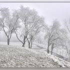 Winter auf dem Schiffenberg 2