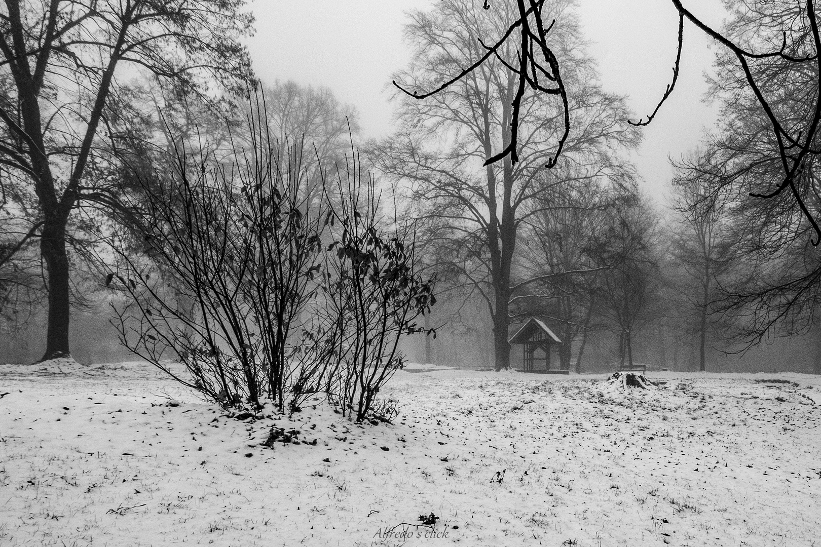 Winter auf dem Schlossberg*