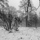 Winter auf dem Schlossberg*