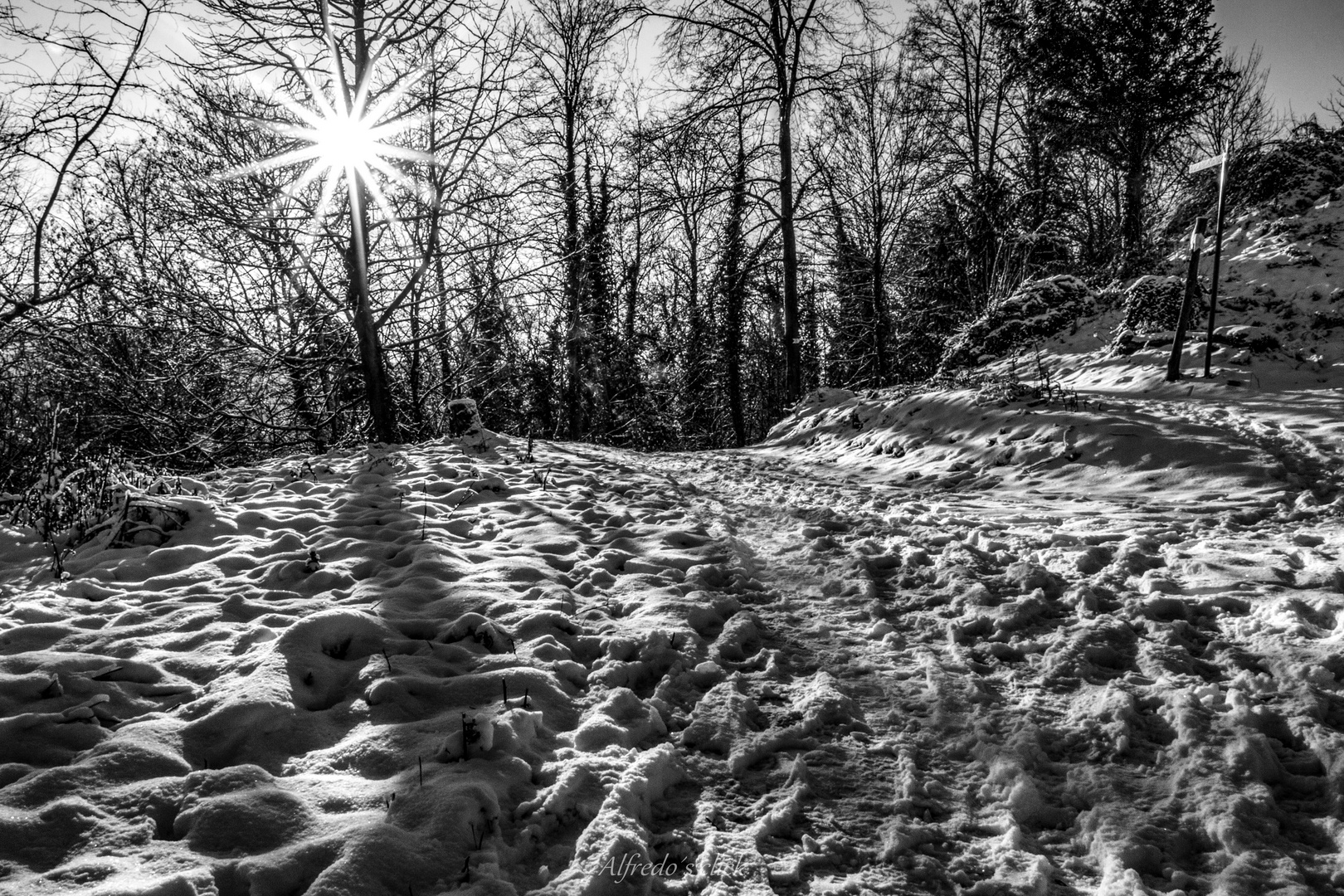 Winter auf dem Schlossberg*