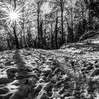 Winter auf dem Schlossberg*