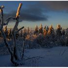 Winter auf dem Schneeberg