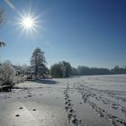 Winter auf dem See