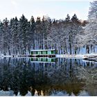 Winter auf dem See