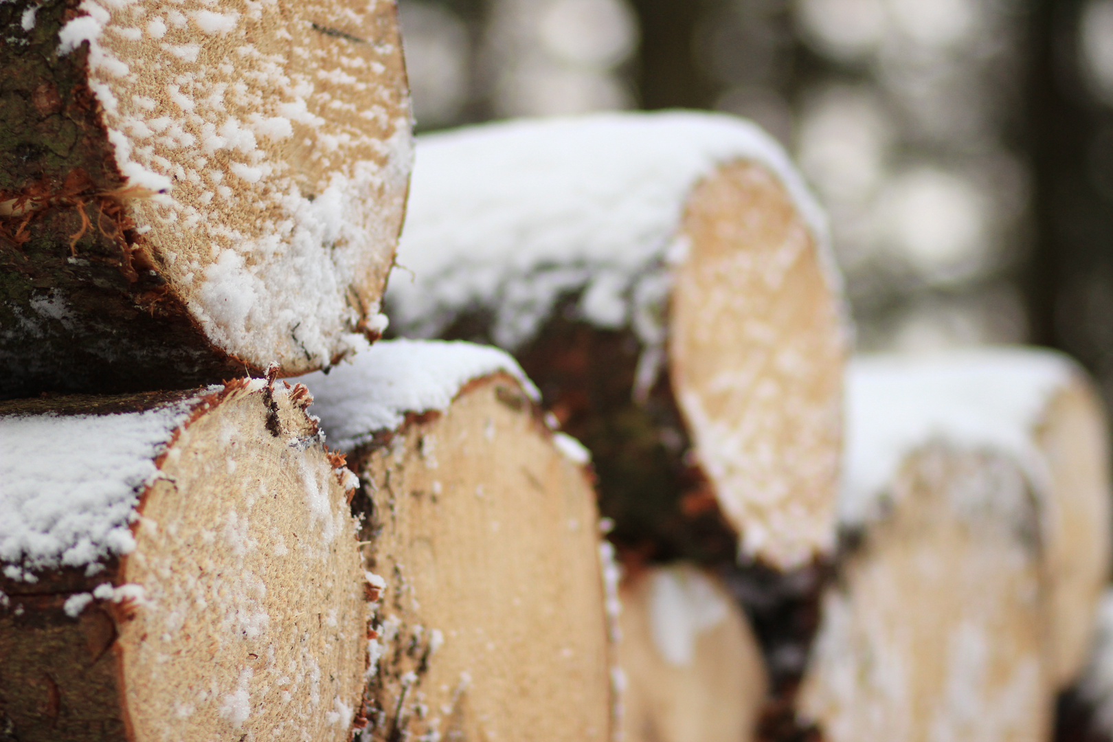 Winter auf dem Siegener Wellersberg