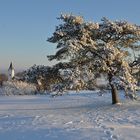 Winter auf dem Staffelberg 1