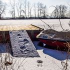 Winter auf dem Teich