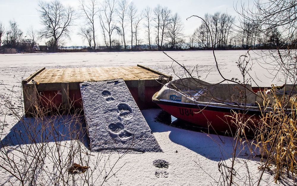 Winter auf dem Teich