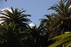 Winter auf dem Teide