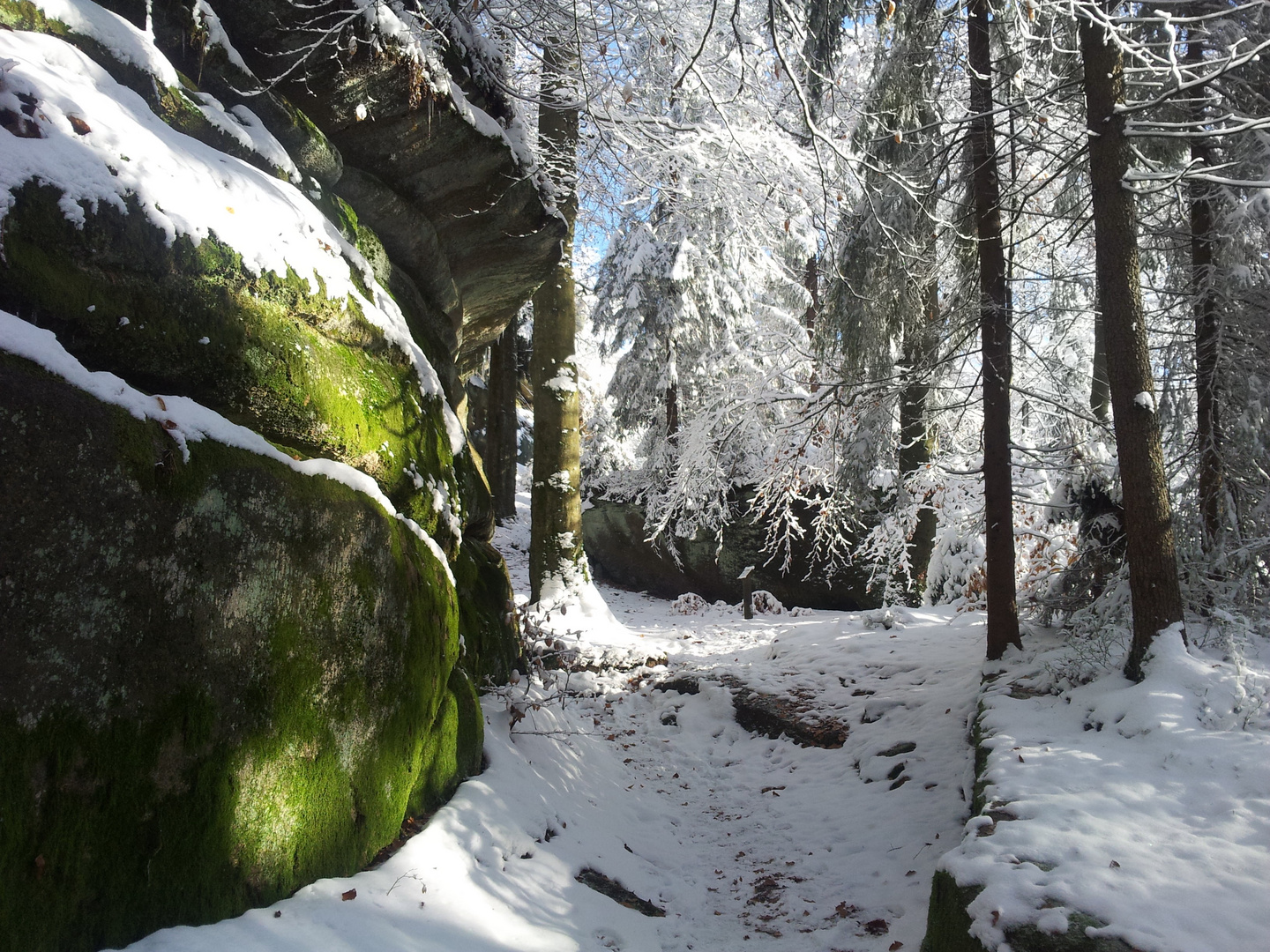 Winter auf dem Waldstein