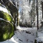 Winter auf dem Waldstein