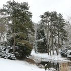 Winter auf dem Waller Friedhof