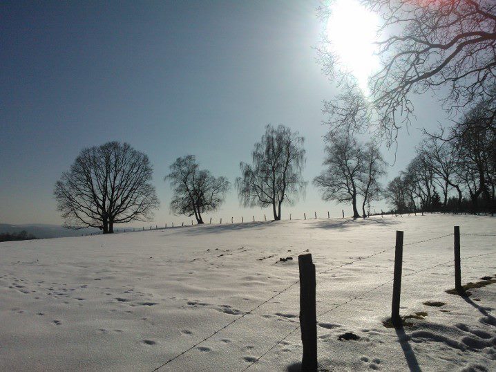 Winter auf dem Weg zum Frühling