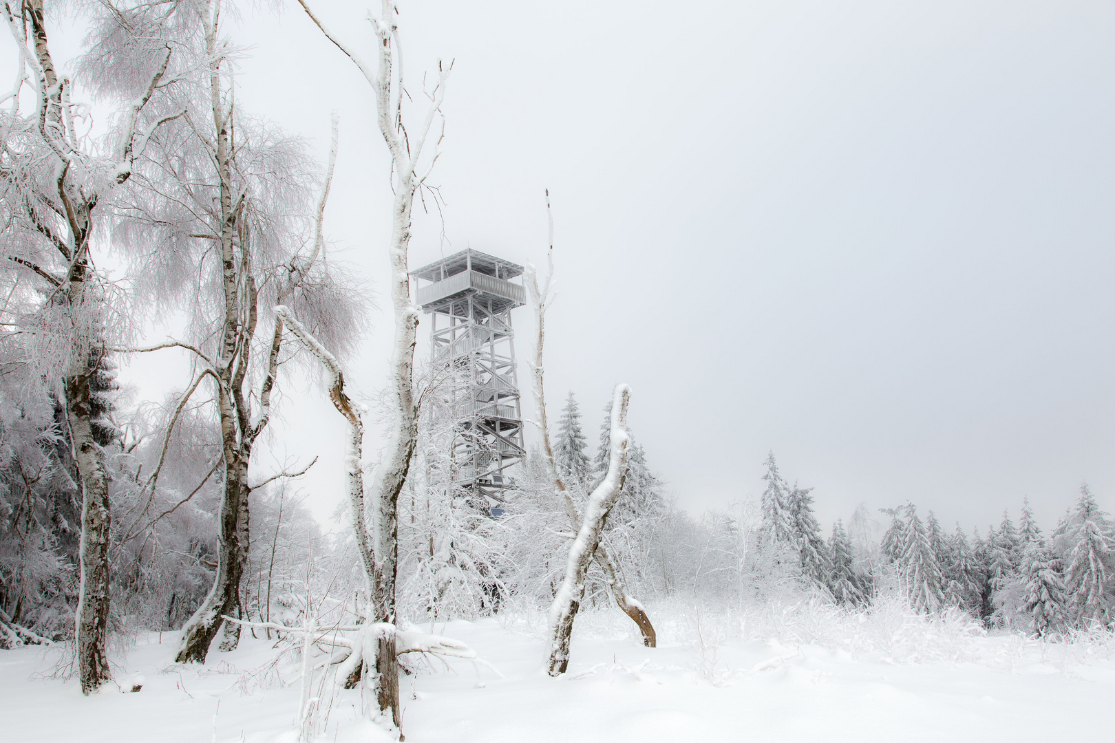 Winter auf dem Wüstegarten