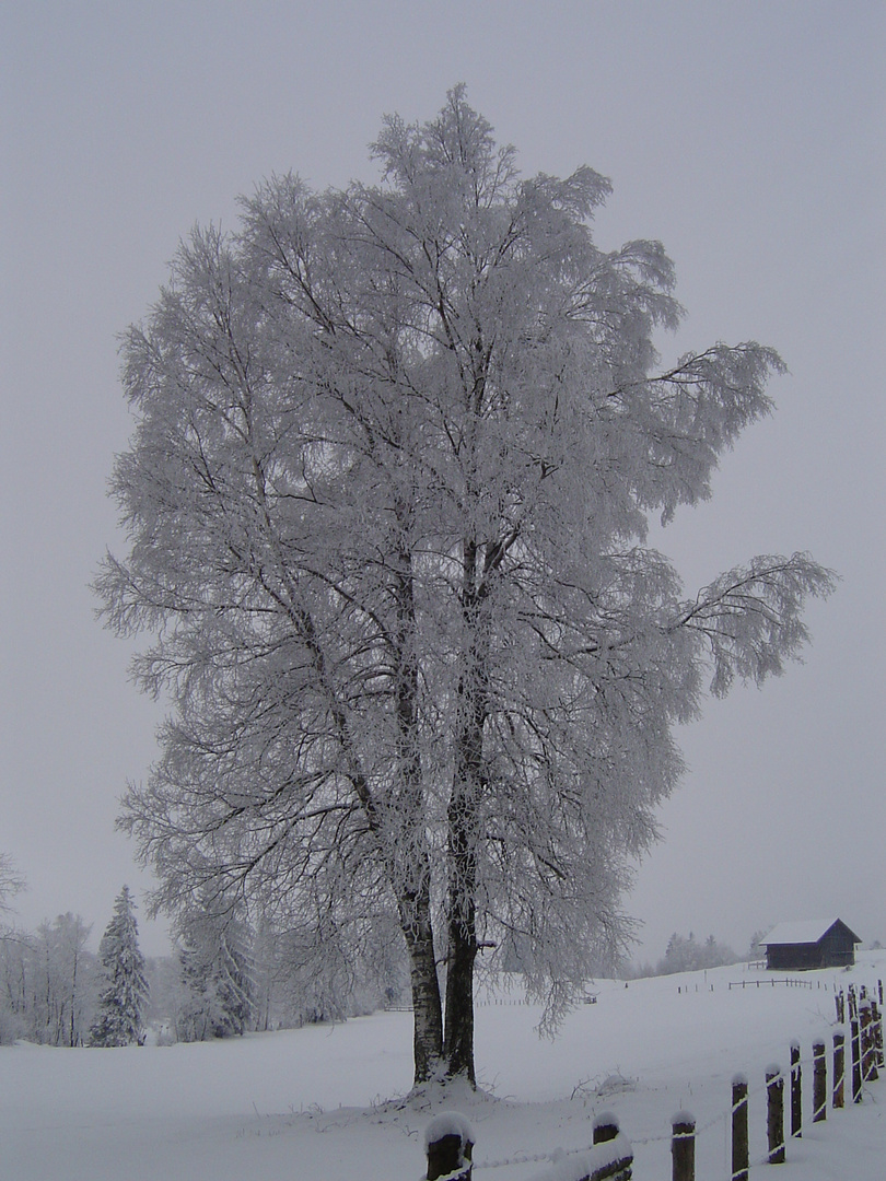 Winter auf dem Zugerberg