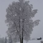 Winter auf dem Zugerberg