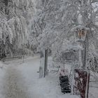 Winter auf den Hoherodskopf