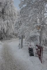 Winter auf den Hoherodskopf