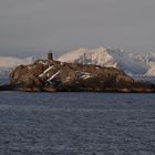 Winter auf den Lofoten