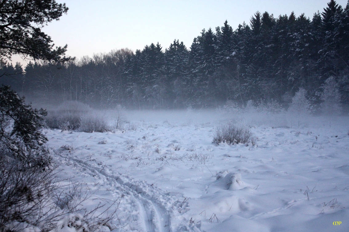 Winter auf den Moorwiesen