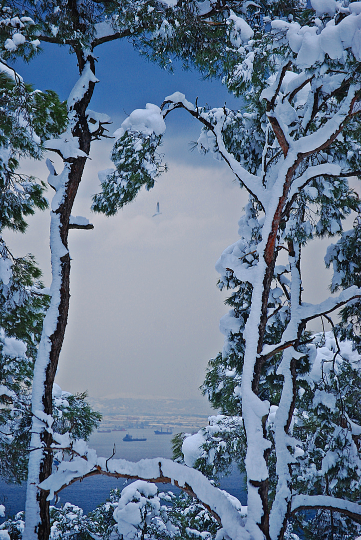 Winter auf den Prinzeninseln...