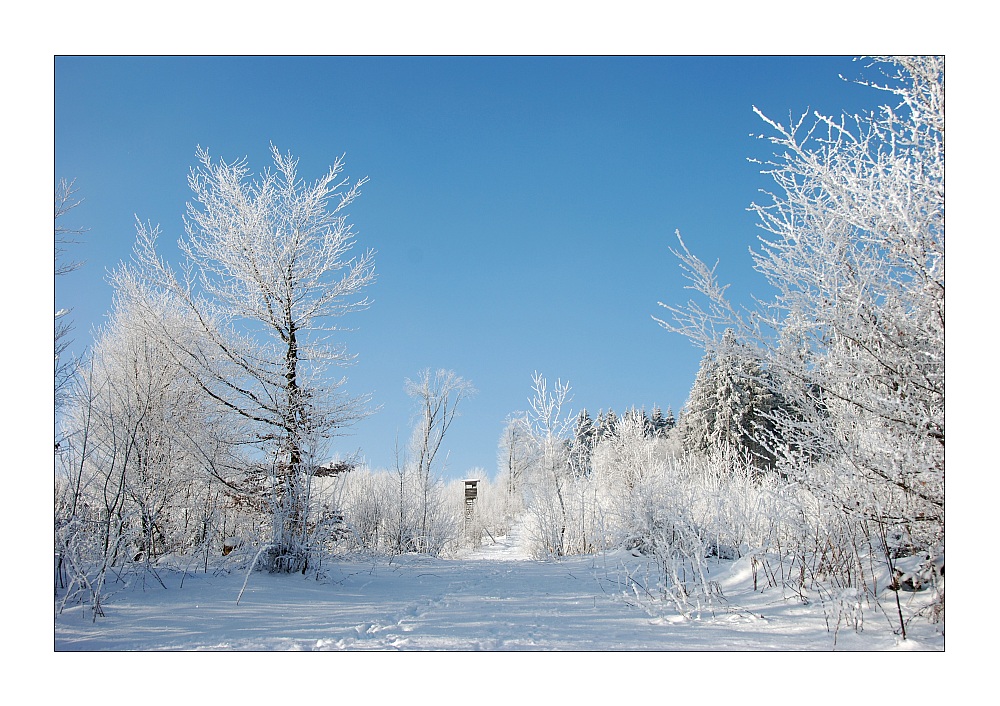 Winter auf der Alb