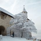 Winter auf der Alb 02