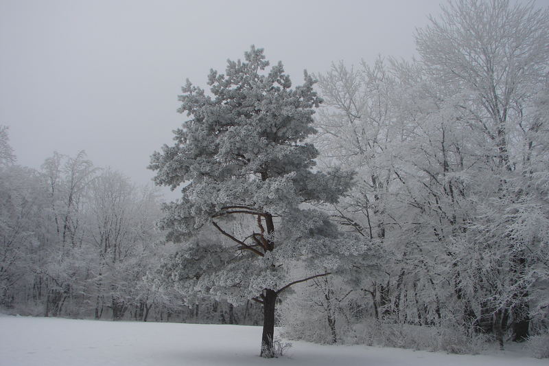 Winter auf der Alb