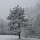 Winter auf der Alb