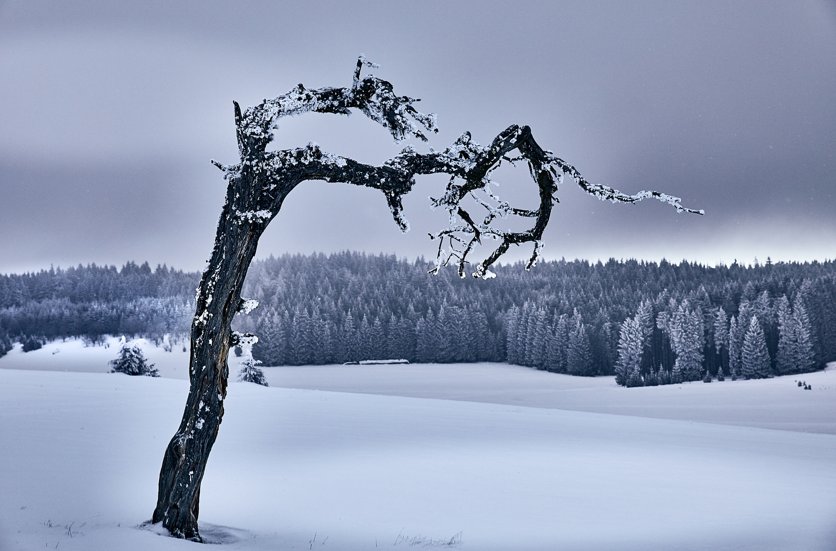 Winter auf der Alb