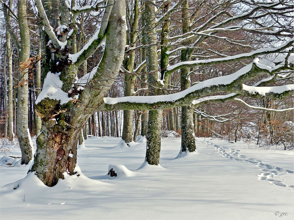 Winter auf der Alb