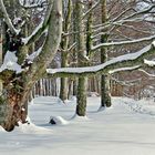 Winter auf der Alb