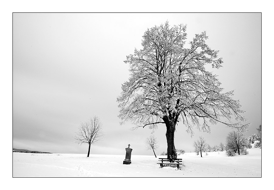 Winter auf der Alb