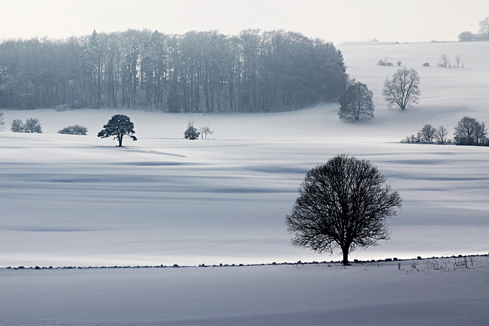 Winter auf der Alb!