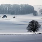 Winter auf der Alb!