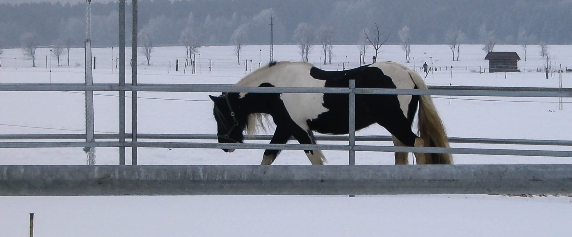 Winter auf der Alb