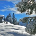 Winter auf der Alm