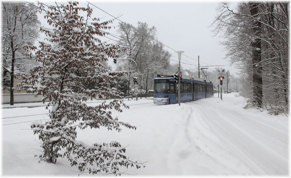 Winter auf der Außenlinie